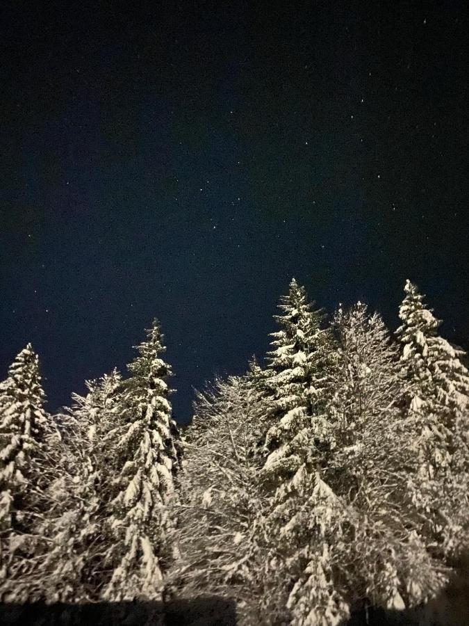 Apartmán Apartma Rozi Kranjska Gora Exteriér fotografie